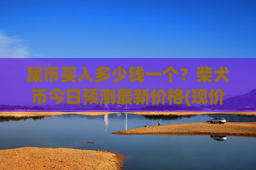 屎币买入多少钱一个？柴犬币今日预测最新价格(现价0.00023097元)
