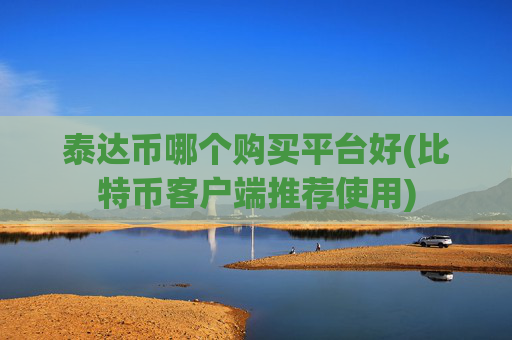 泰达币哪个购买平台好(比特币客户端推荐使用)
