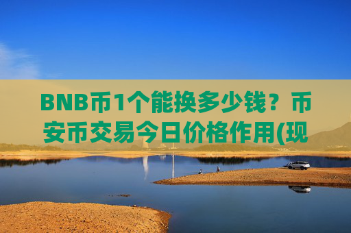BNB币1个能换多少钱？币安币交易今日价格作用(现价5317.15元)