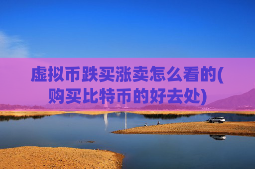虚拟币跌买涨卖怎么看的(购买比特币的好去处)