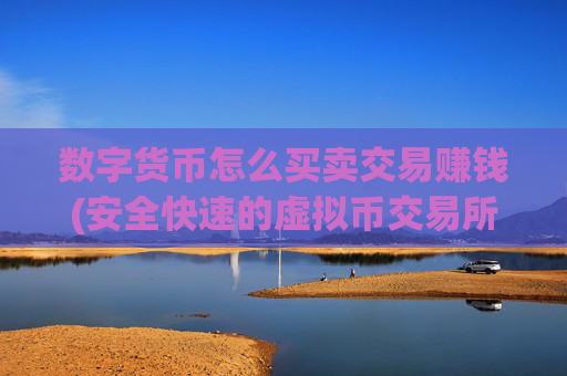 数字货币怎么买卖交易赚钱(安全快速的虚拟币交易所)