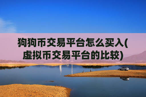 狗狗币交易平台怎么买入(虚拟币交易平台的比较)