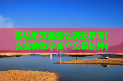 泰达币交易怎么买涨跌呢(安全的数字资产交易软件)