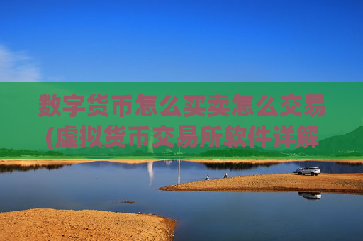 数字货币怎么买卖怎么交易(虚拟货币交易所软件详解)