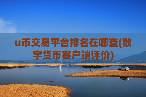 u币交易平台排名在哪查(数字货币客户端评价)