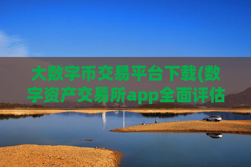 大数字币交易平台下载(数字资产交易所app全面评估)