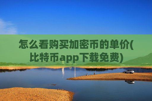 怎么看购买加密币的单价(比特币app下载免费)