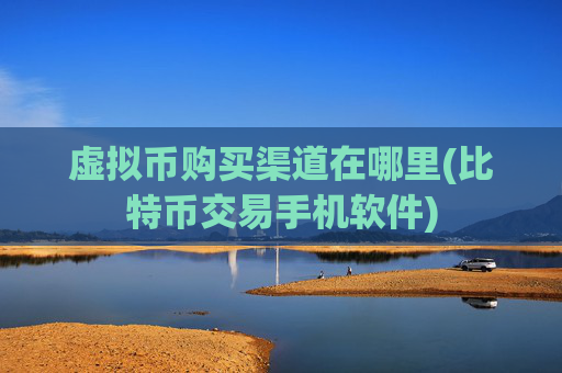 虚拟币购买渠道在哪里(比特币交易手机软件)