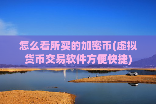 怎么看所买的加密币(虚拟货币交易软件方便快捷)