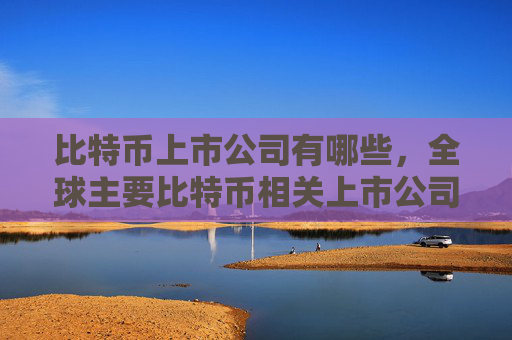 比特币上市公司有哪些，全球主要比特币相关上市公司