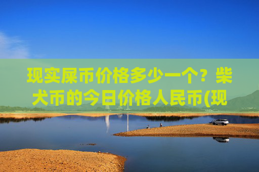 现实屎币价格多少一个?柴犬币的今日价格人民币(现价0.00023196元)