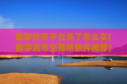 数字货币平台关了怎么买(数字货币交易所软件推荐)