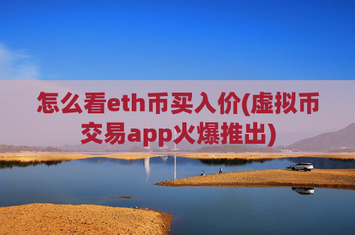 怎么看eth币买入价(虚拟币交易app火爆推出)
