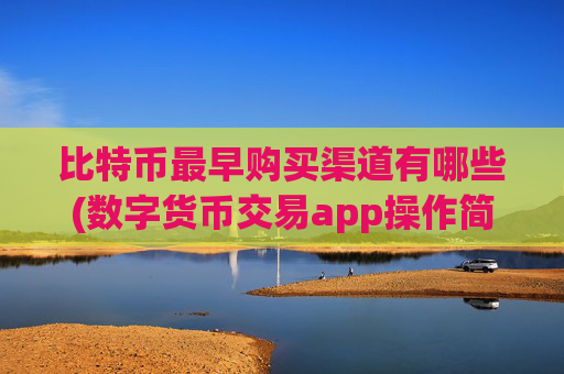 比特币最早购买渠道有哪些(数字货币交易app操作简易教程)