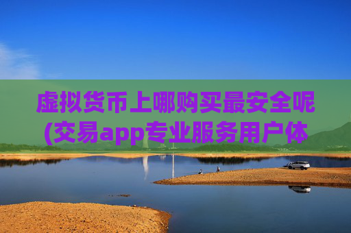 虚拟货币上哪购买最安全呢(交易app专业服务用户体验)