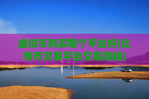 虚拟币购买哪个平台好(比特币交易平台交易顺畅)