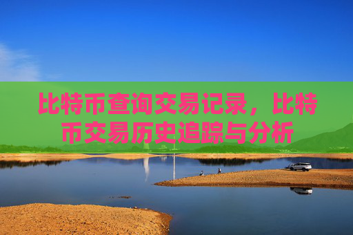 比特币查询交易记录，比特币交易历史追踪与分析