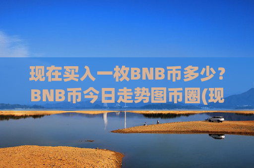 现在买入一枚BNB币多少？BNB币今日走势图币圈(现价5272.5元)