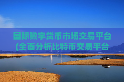 国际数字货币市场交易平台(全面分析比特币交易平台)