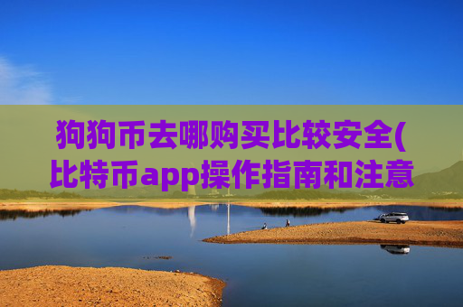 狗狗币去哪购买比较安全(比特币app操作指南和注意事项)