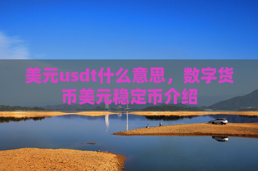 美元usdt什么意思，数字货币美元稳定币介绍