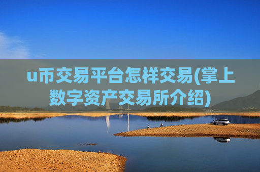 u币交易平台怎样交易(掌上数字资产交易所介绍)