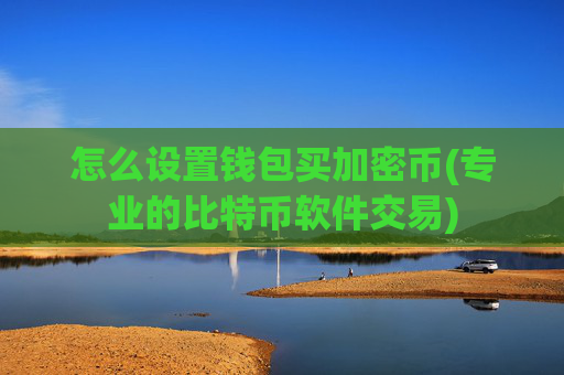 怎么设置钱包买加密币(专业的比特币软件交易)