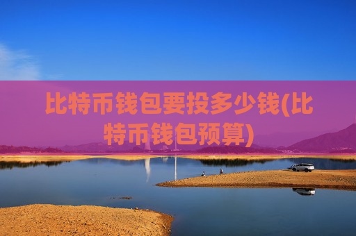 比特币钱包要投多少钱(比特币钱包预算)