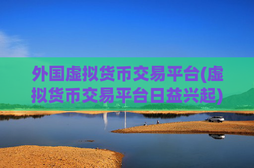 外国虚拟货币交易平台(虚拟货币交易平台日益兴起)