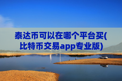 泰达币可以在哪个平台买(比特币交易app专业版)