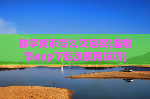数字货币怎么交易买(虚拟币app下载及使用技巧)