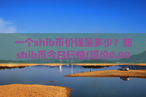 一个shib币价钱是多少？新shib币今日行情(现价0.00023031元)