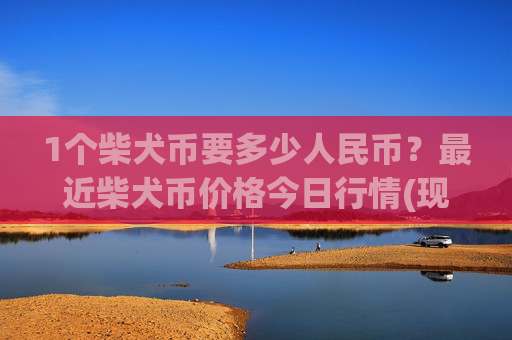 1个柴犬币要多少人民币？最近柴犬币价格今日行情(现价0.00022946元)