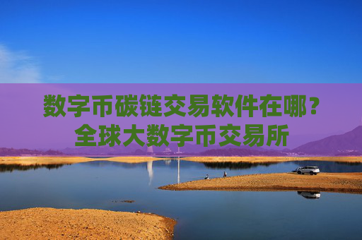 数字币碳链交易软件在哪？全球大数字币交易所