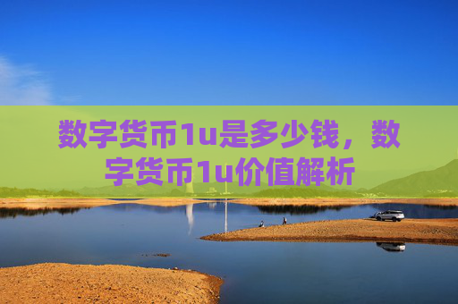 数字货币1u是多少钱，数字货币1u价值解析