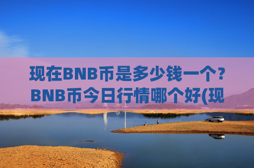 现在BNB币是多少钱一个？BNB币今日行情哪个好(现价5299.73元)