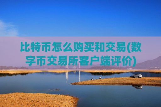 比特币怎么购买和交易(数字币交易所客户端评价)