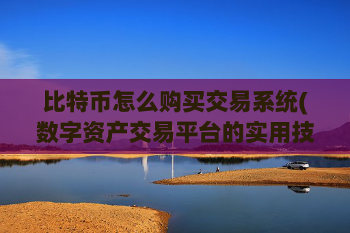 比特币怎么购买交易系统(数字资产交易平台的实用技巧)
