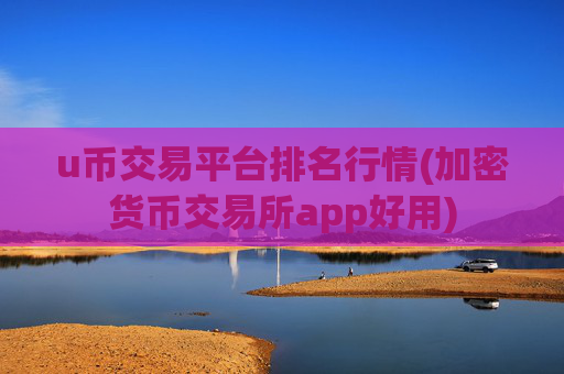 u币交易平台排名行情(加密货币交易所app好用)