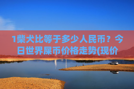 1柴犬比等于多少人民币？今日世界屎币价格走势(现价0.00023082元)