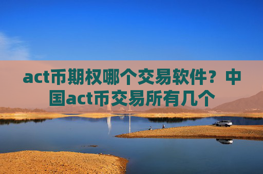 act币期权哪个交易软件？中国act币交易所有几个