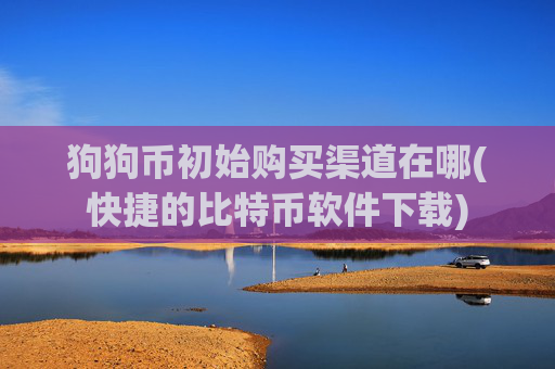 狗狗币初始购买渠道在哪(快捷的比特币软件下载)
