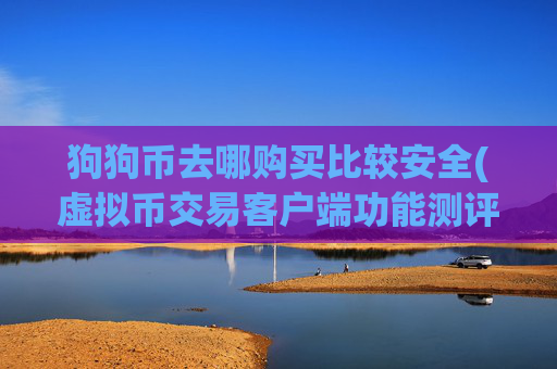 狗狗币去哪购买比较安全(虚拟币交易客户端功能测评)