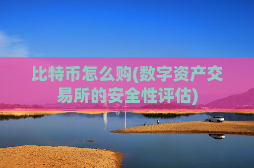 比特币怎么购(数字资产交易所的安全性评估)