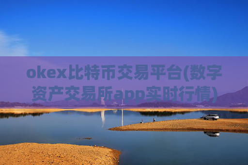 okex比特币交易平台(数字资产交易所app实时行情)