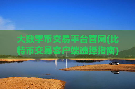 大数字币交易平台官网(比特币交易客户端选择指南)