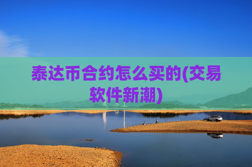 泰达币合约怎么买的(交易软件新潮)