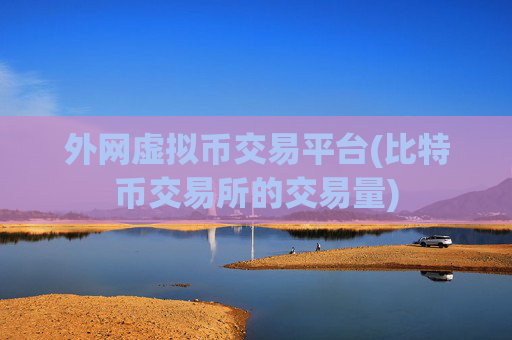 外网虚拟币交易平台(比特币交易所的交易量)