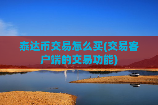 泰达币交易怎么买(交易客户端的交易功能)
