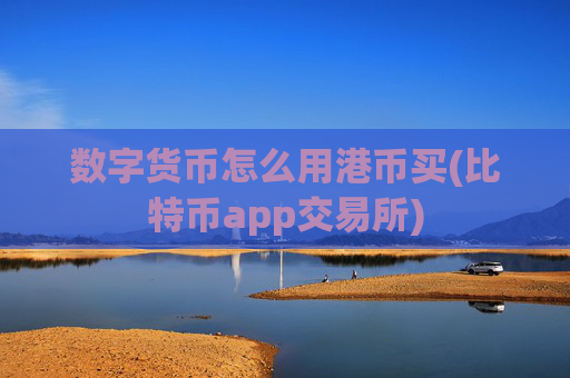 数字货币怎么用港币买(比特币app交易所)